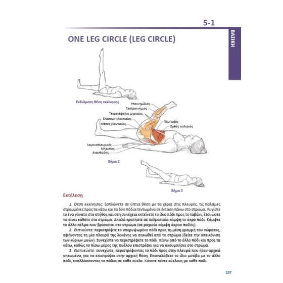 Pilates anatomy image 3