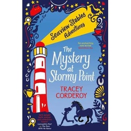 The Mystery at Stormy Point