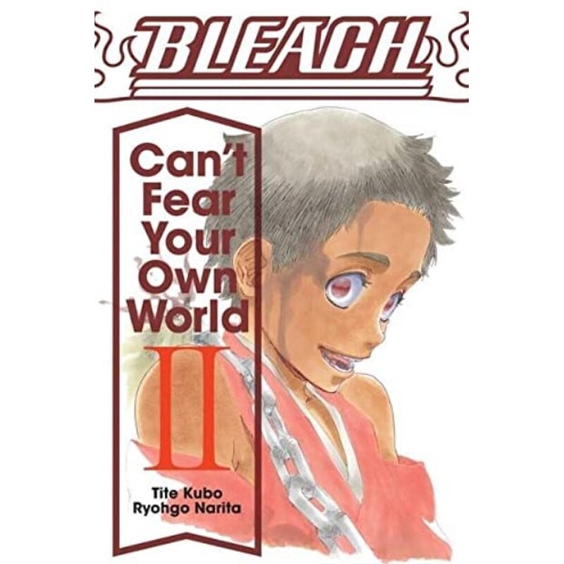 Bleach: Cant Fear Your Own World, Vol. 2
