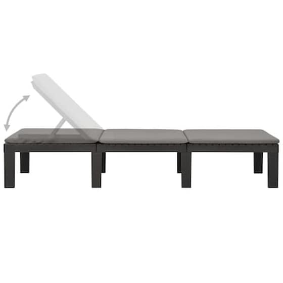 Ξαπλώστρα VidaXL με Μαξιλάρι Πλαστική 195x65x32 - Ανθρακί image 5