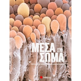 Μέσα στο σώμα