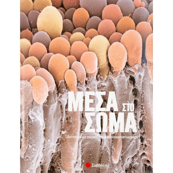 Μέσα στο σώμα image 0