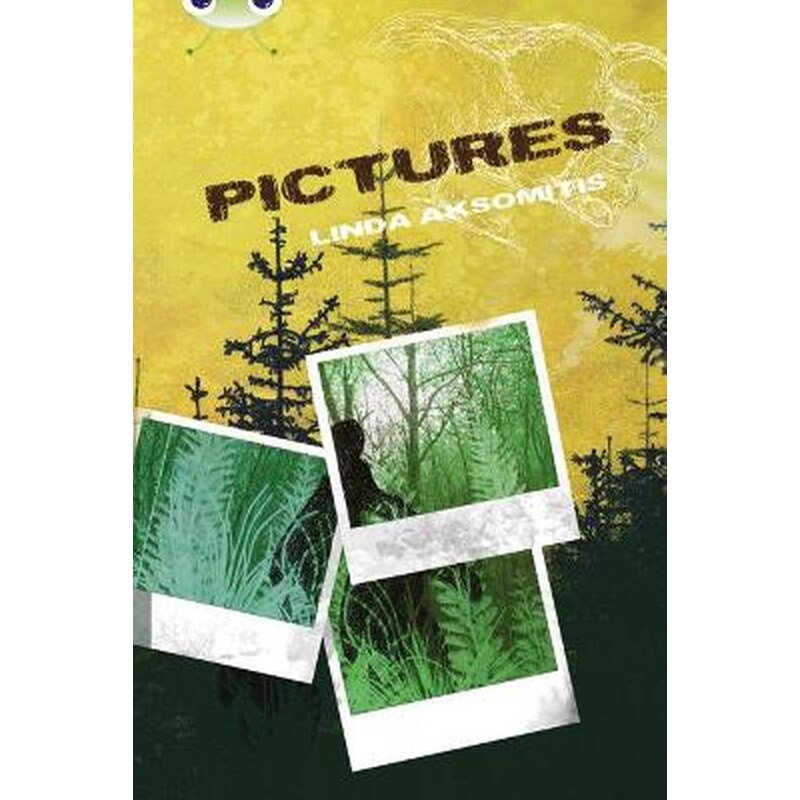 Bug Club Independent Fiction Year 5 Blue B Pictures