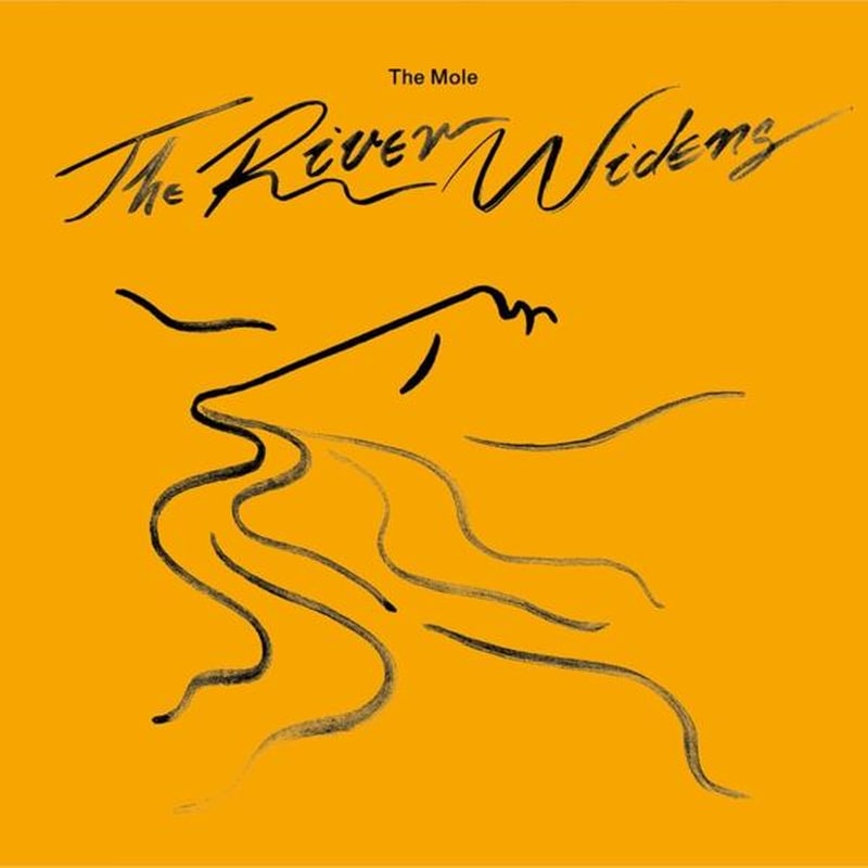 The River Widens (2lp+Dl)