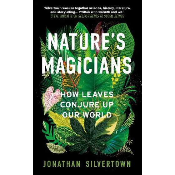 Nature's Magicians image 0