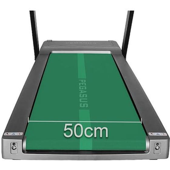 Pegasus RunFlex Ηλεκτρικός Αναδιπλούμενος Διάδρομος Γυμναστικής 3hp για Χρήστη έως 120kg image 3