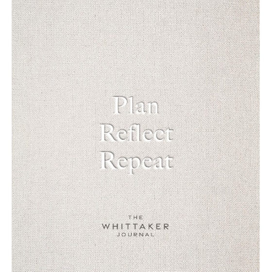 Plan, Reflect, Repeat image 0