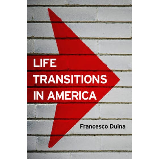 Life Transitions in America image 0