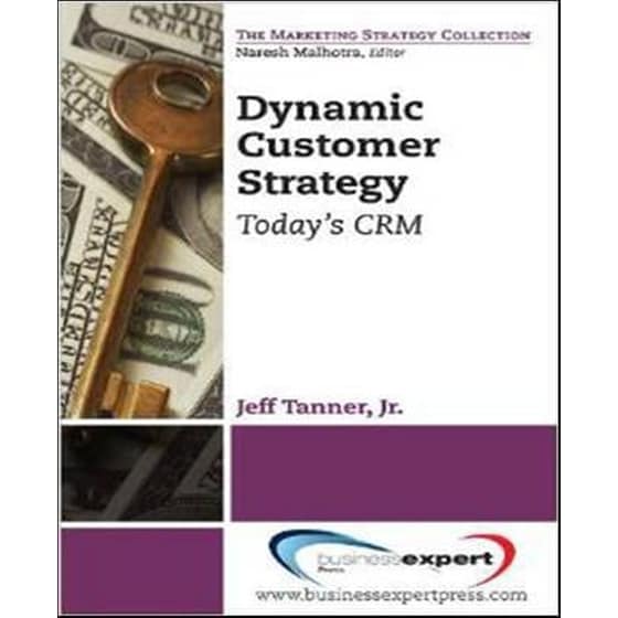 Dynamic Customer Strategy image 0
