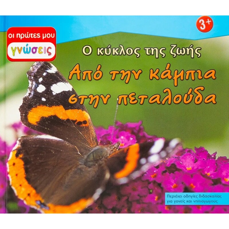 Από την κάμπια στην πεταλούδα - Ο κύκλος της ζωής