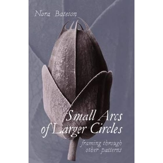 Small Arcs of Larger Circles : Framing Through Other Patterns image 0