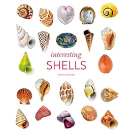 Interesting Shells
