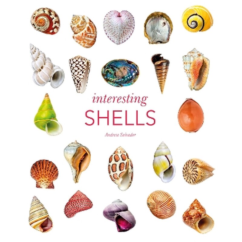 Interesting Shells