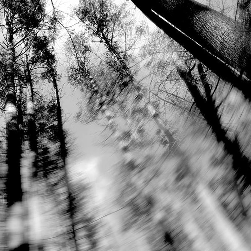 Totems