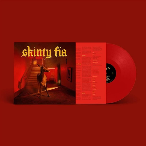 Skinty Fia image 3