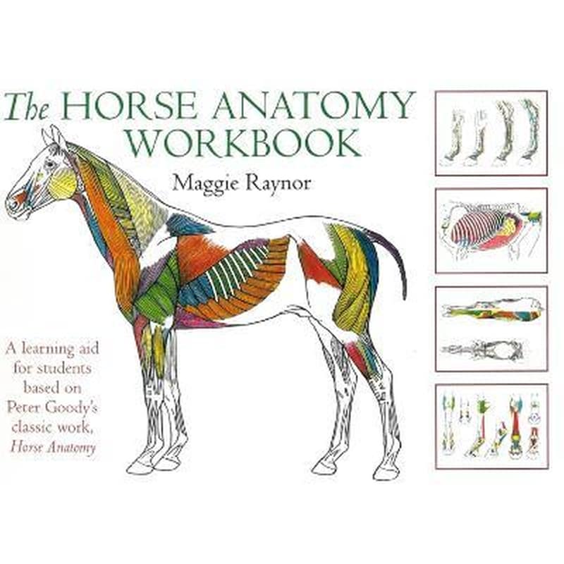 Horse Anatomy Workbook : A Learning Aid for Students Based on Peter Goodys Classic Work, Horse Anatomy