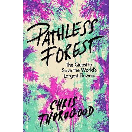 Pathless Forest image 0