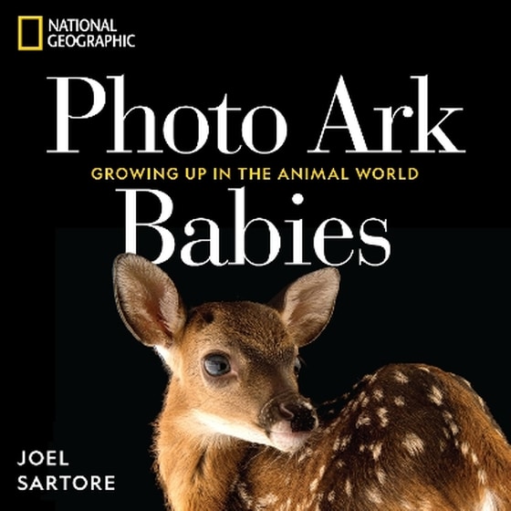 National Geographic Photo Ark Babies image 0