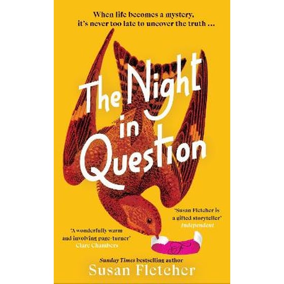 The Night in Question image 0