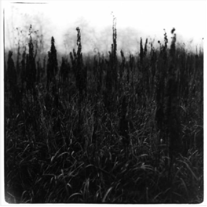 Within Reach Of Eventuality