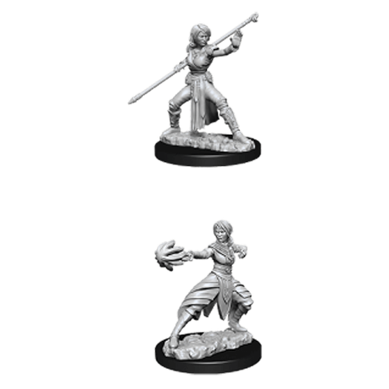Wizkids Games Half-elf Monk Female (Nolzur) image 0