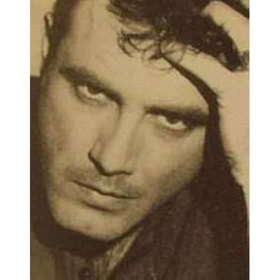 Η φωνή του δάσους image 1