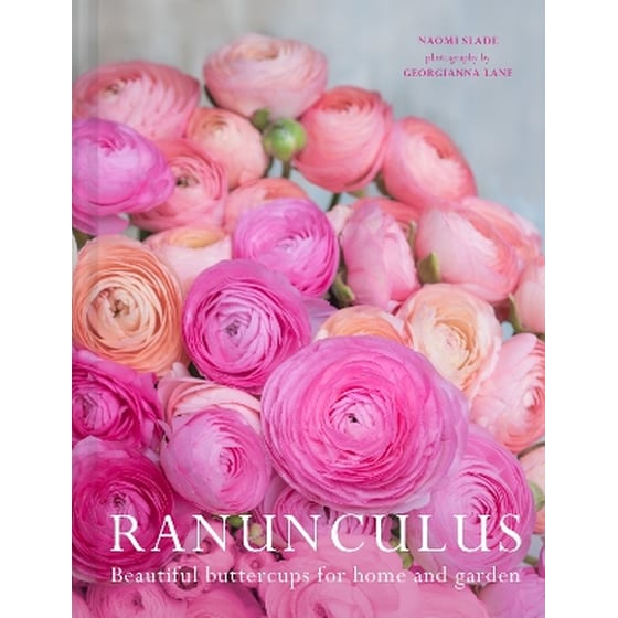 Ranunculus image 0