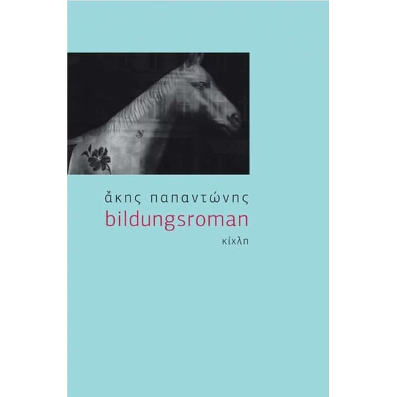 Bildungsroman image 0