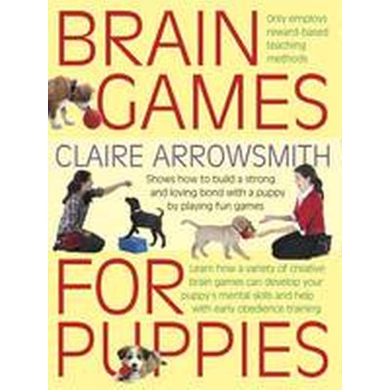 Brain Games for Puppies