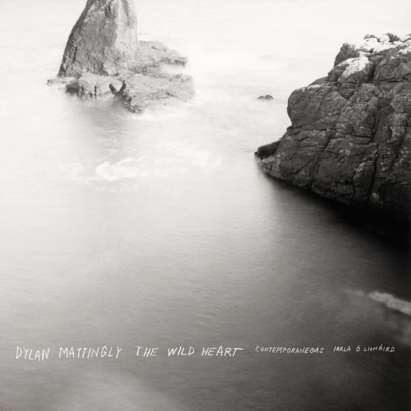 Dylan Mattingly - The Wild Heart