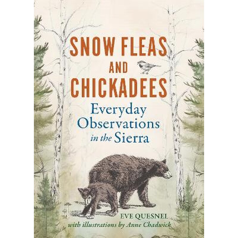 Snow Fleas and Chickadees