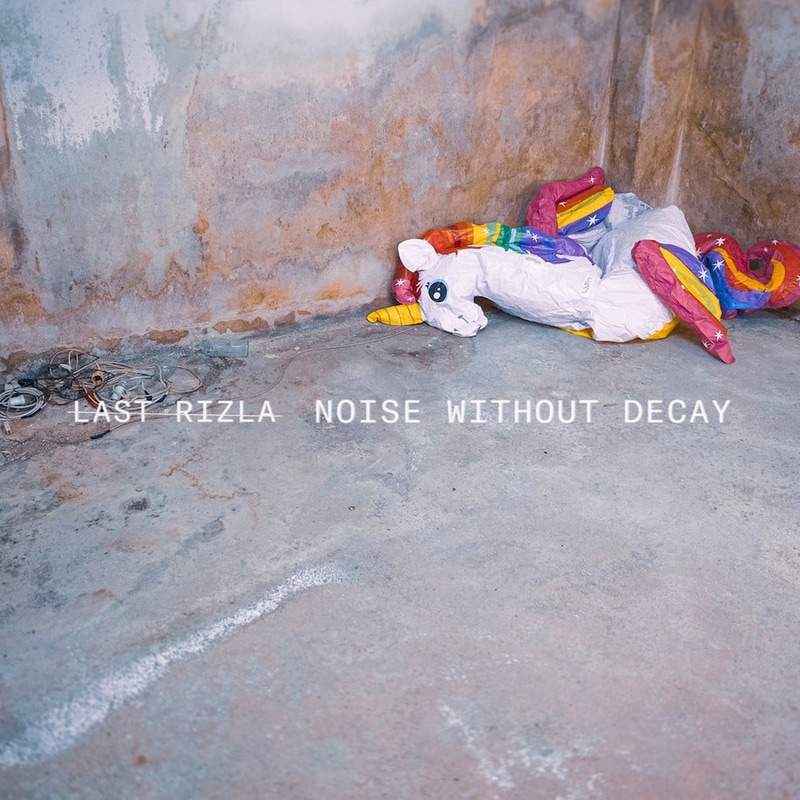 Noise Without Decay (LP)