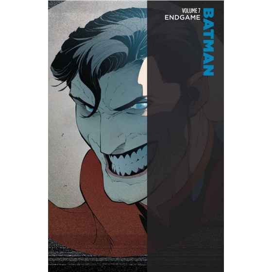 Batman v.7 Endgame image 1