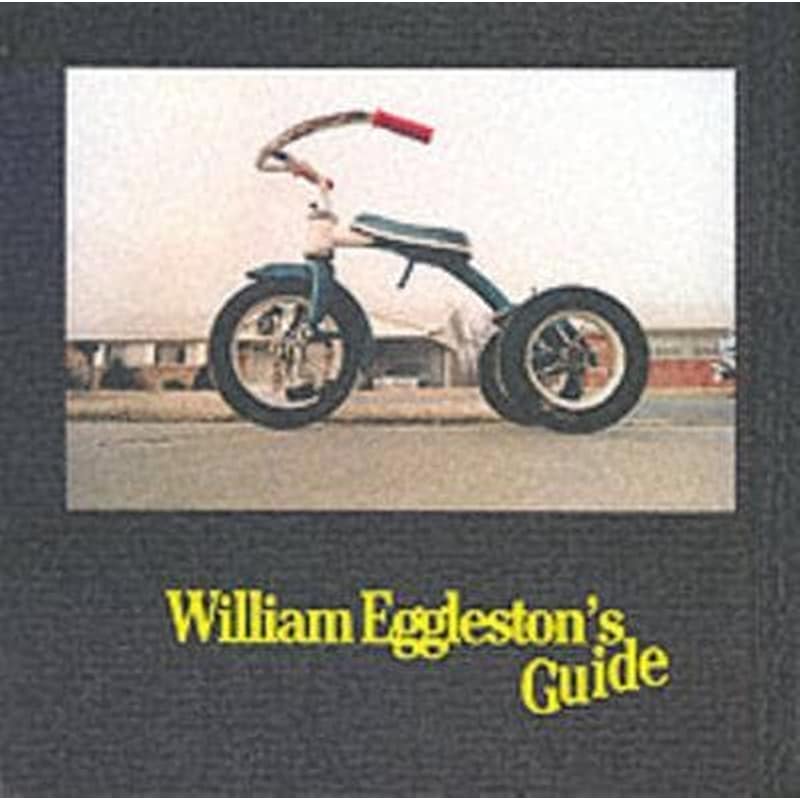 William Egglestons Guide