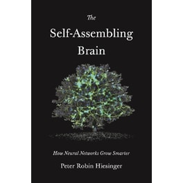The Self-Assembling Brain