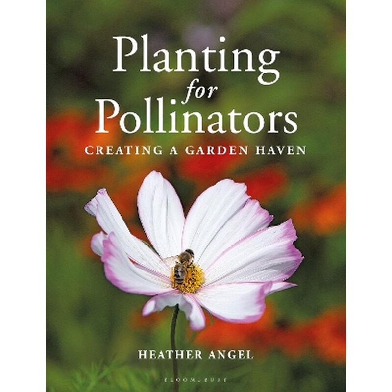 Planting for Pollinators