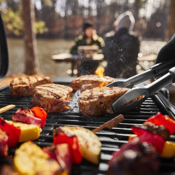 WEBER TRAVELER 3.2 kW Μαύρο Ψησταριά Υγραερίου image 4