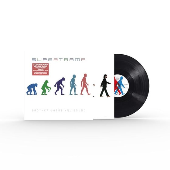 Brother Where You Bound (LP) image 2