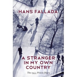 A Stranger in My Own Country