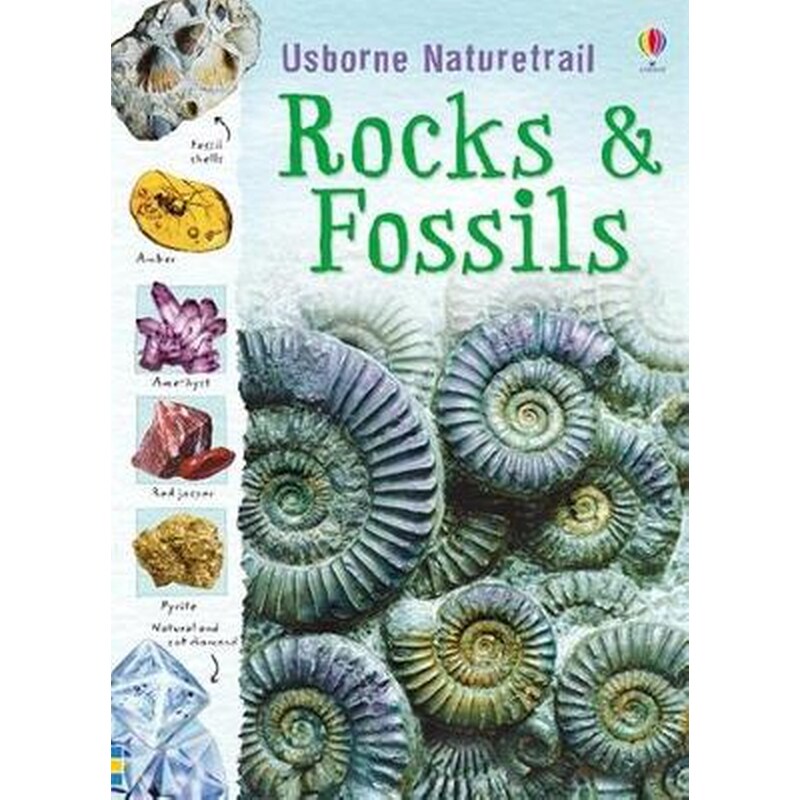 Rocks and Fossils