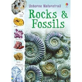 Rocks and Fossils