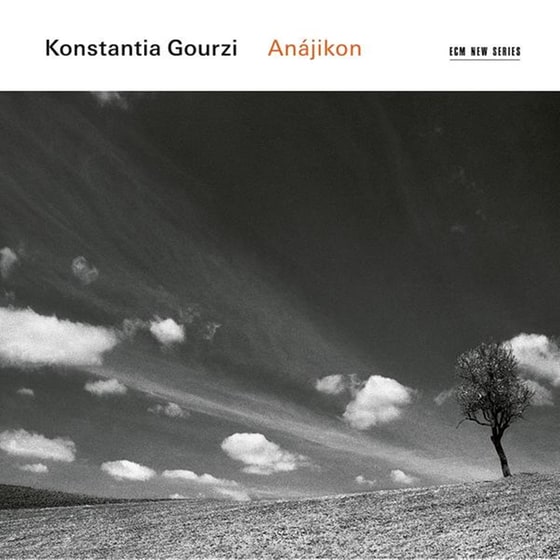 Konstantia Gourzi-Anajikon image 0