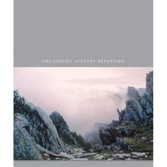 Ori Gersht image 0