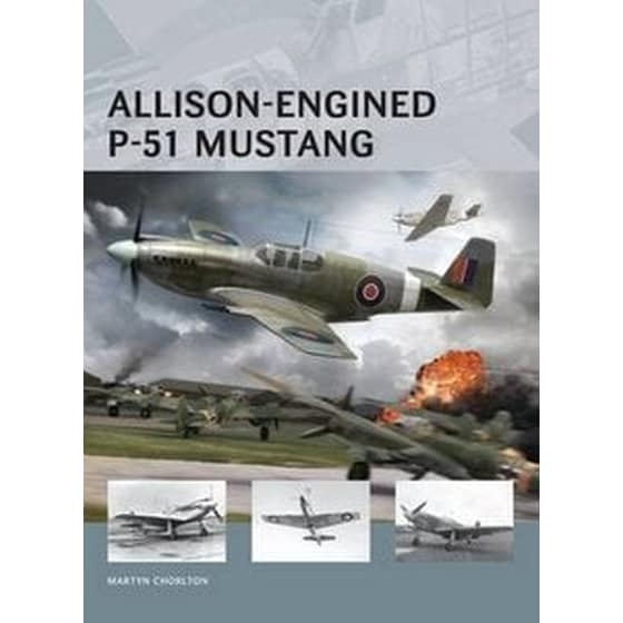 Allison-Engined P-51 Mustang image 0