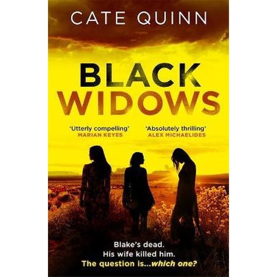 I could not put it down!' MARIAN KEYES image 0