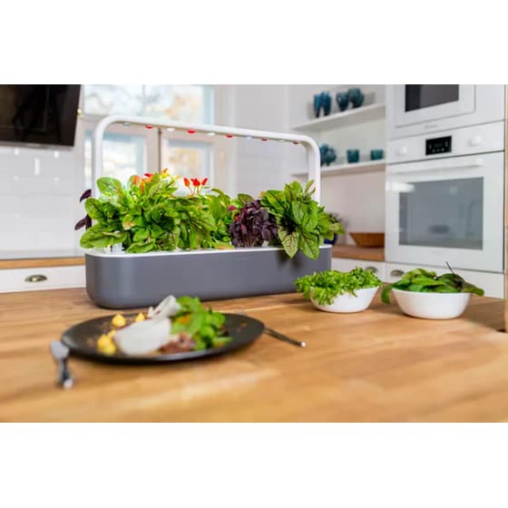Ζαρντινιέρα Click and Grow Smart Garden 9 4 lt - Γκρι image 1