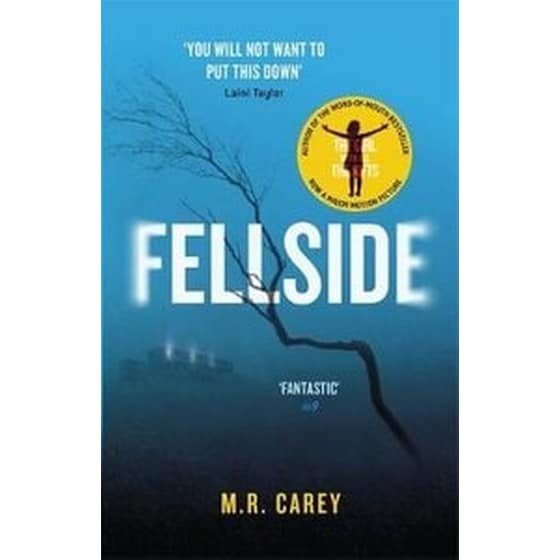 Fellside image 0