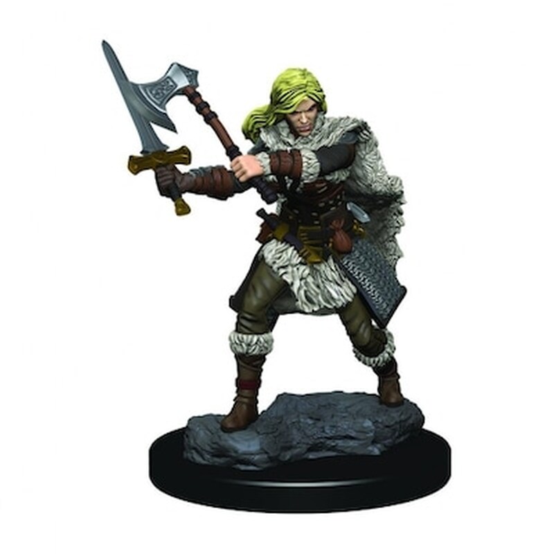 Wizkids - Human Female Barbarian