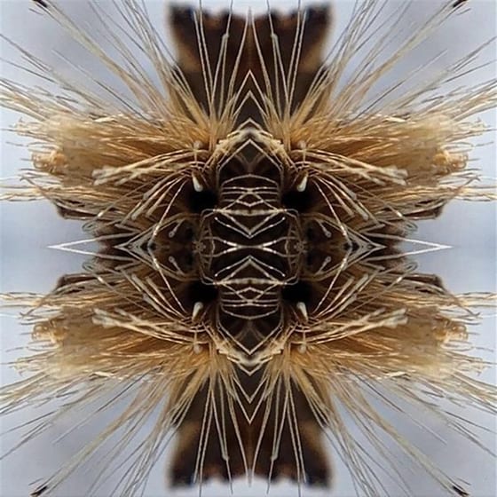 Sutra image 0