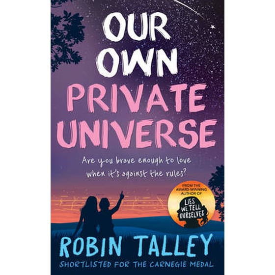 Our Own Private Universe image 0